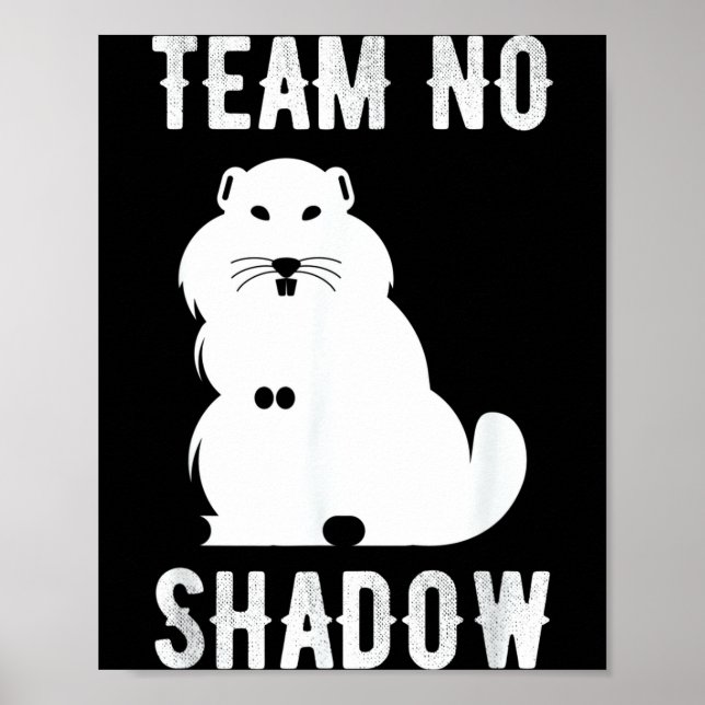 Poster Equipe Divertida de Meteorologia Sem Sombra Ground (Frente)