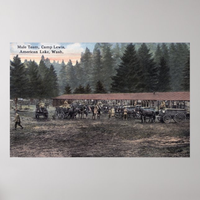 Pôster Equipe Mule no Campo Lewis (Frente)