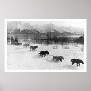 Poster Equipe ronca Alaska 1918 do cão