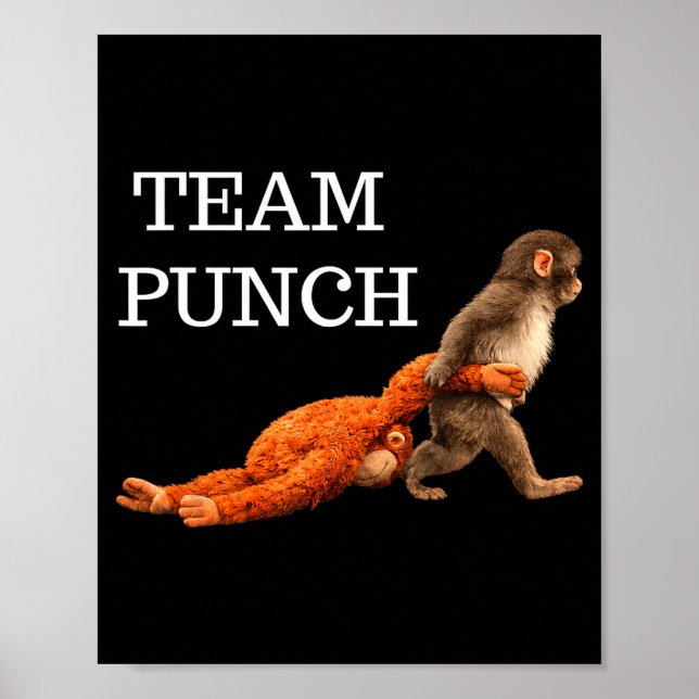 Poster Equipe soco bebê macaco soco tendência meme gráfic (Frente)