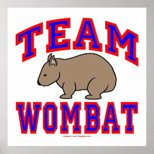 Poster Equipe Wombat VI
