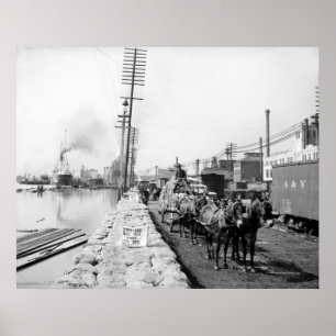 Pôster Equipes da mula no dique, Nova Orleães: 1903