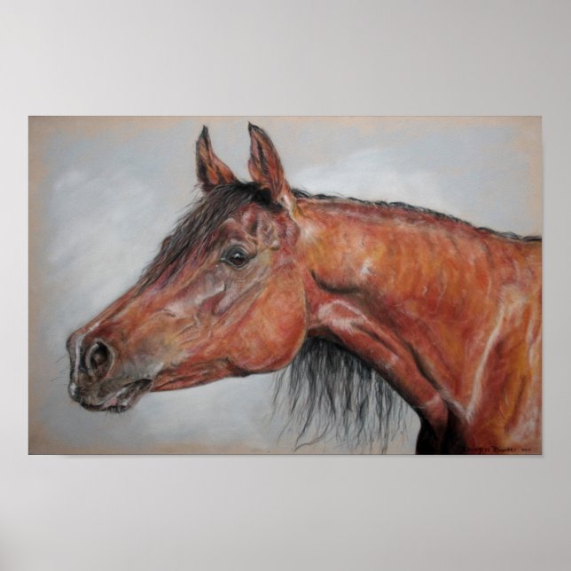 Poster Equírio (Frente)