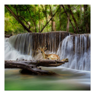 Pôster Erawan Waterfall com Deer Relaxing