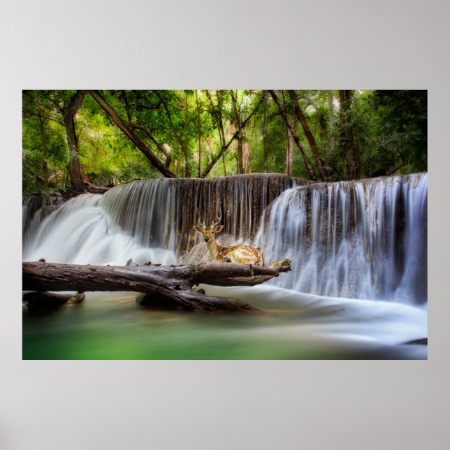 Poster Erawan Waterfall com Deer Relaxing (Frente)