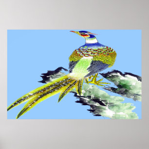 Poster ereto do faisão que tira 5