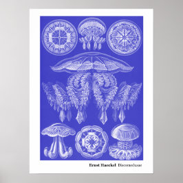 Poster Ernst Haeckel Disco III