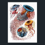 Poster Ernst Haeckel Jellyfish<br><div class="desc">Ernst Haeckel Jellyfish</div>
