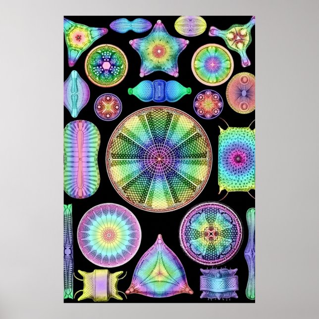 Poster Ernst Haeckel Rainbow Diatoms (Frente)
