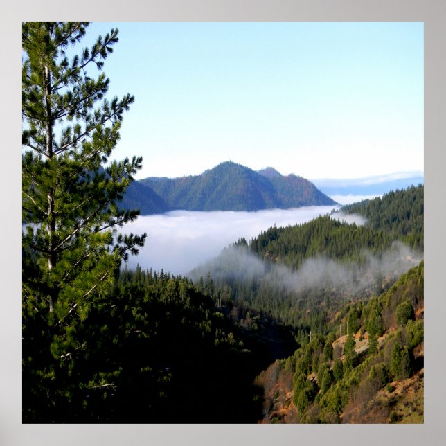 Poster Erro de nevoeiro matinal...... (Frente)