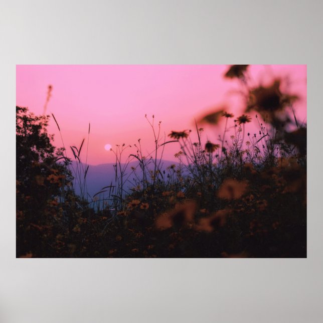 Poster Erva natural (Frente)