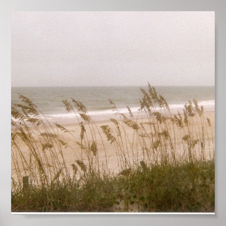 Poster ervas daninhas