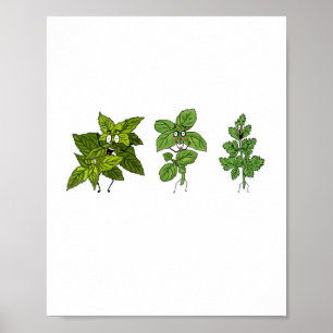 Poster Ervas, tema de ervas