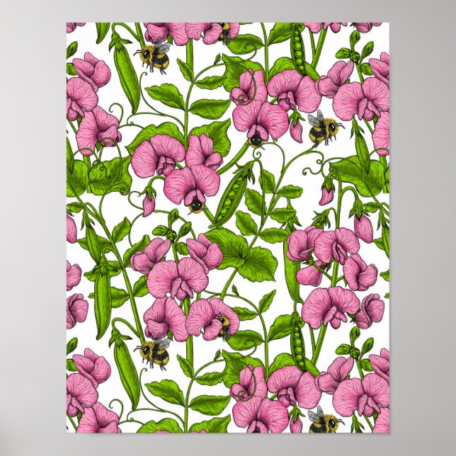 Poster Ervilhas doces e espécimes do gênero Bombus spp.,  (Frente)