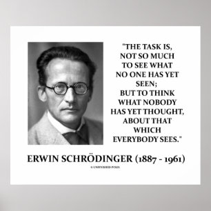 Pôster Erwin Schrödinger Task Acha Que Ninguém Pensou Ain