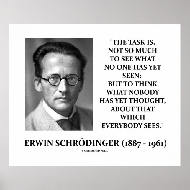 Pôster Erwin Schrödinger Task Acha Que Ninguém Pensou Ain (Frente)