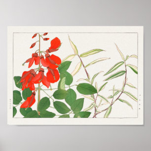 Poster Erythrina, Panicum por Tanigami Konan