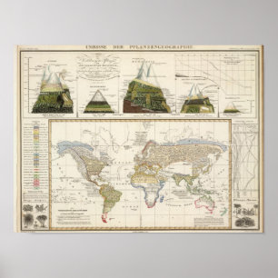 Pôster Esboço da geografia da planta