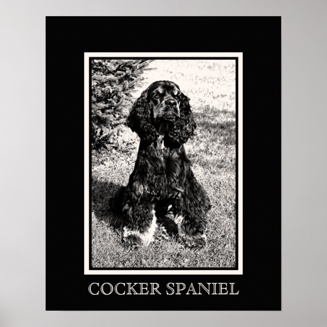Pôster Esboço de Cocker Spaniel (Frente)