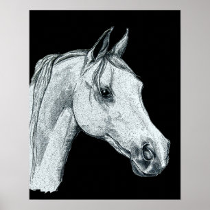Poster Esboço de tinta do cavalo árabe