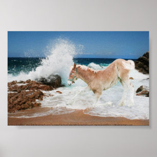 Pôster Esboço do mar