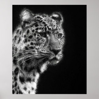 Poster Esboço estético Leopard Cheetah