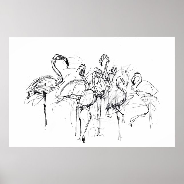 Poster Esboço Flamingo Elegante - Premium (Frente)