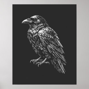 Poster Esboço Monocromático Raven Crest