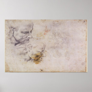 Poster Esboço W.60 de uma cabeça masculina, em duas