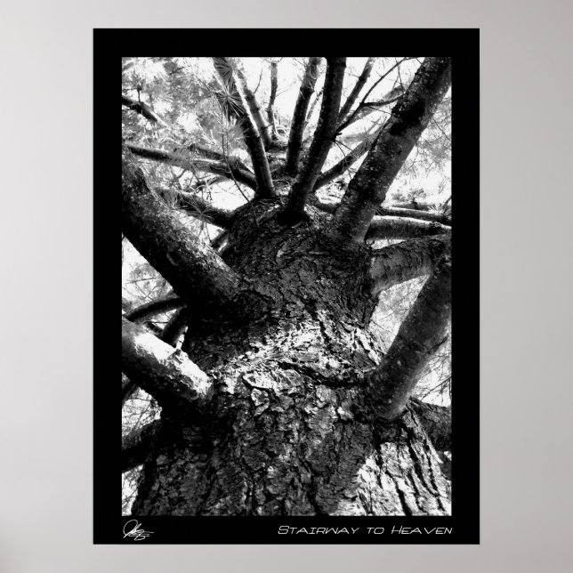 Poster Escada ao céu (Frente)