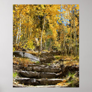 Pôster "Escadaria ao outono", Aspen Quaking, retrato