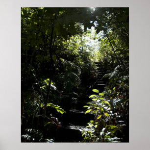 Pôster Escadaria/passeio rústicos na floresta, luz solar