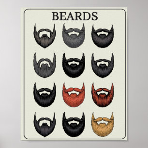 Poster Escala de Avaliação de Barba   Arte Divertida para