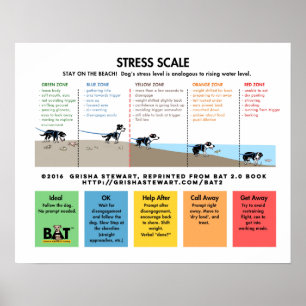 Poster Escala de stress no cão - Analogia de prevenção/me