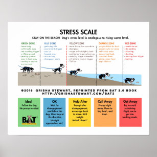 Poster Escala de stress no cão - Analogia de prevenção/me