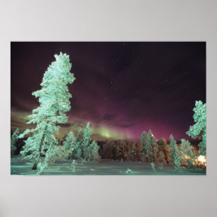 Pôster Escandinávia, Finlândia, Lapónia, Kakslauttanen