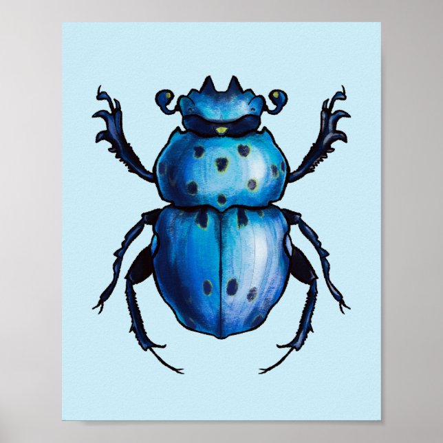 Poster Escaravelho Escarlate Art Blue Entomology Insetect (Frente)