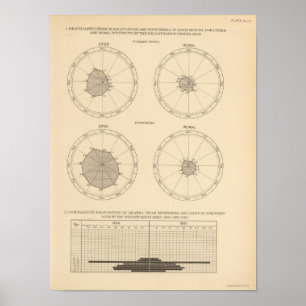 Poster Escarlate de 115 mortes - febre, difteria