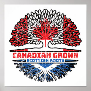 Poster Escócia Escocesa Canadá Árvore Bandeira
