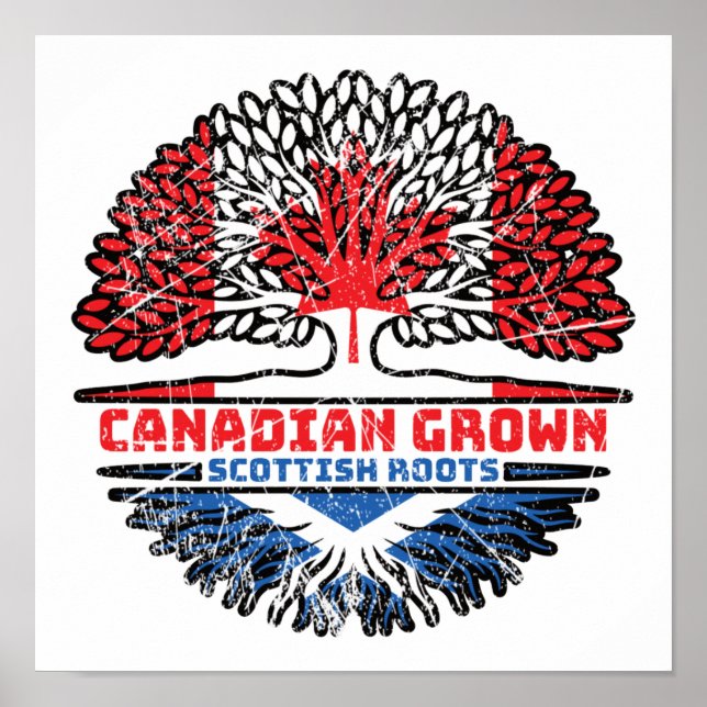 Poster Escócia Escocesa Canadá Árvore Bandeira (Frente)