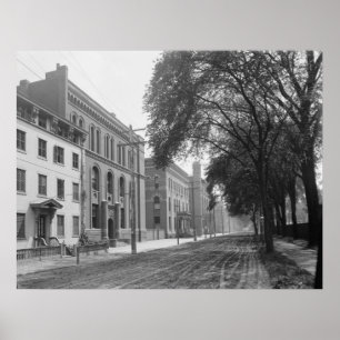 Poster Escola Científica de Sheffield (Universidade de Y