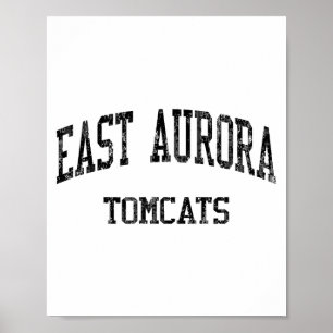 Poster Escola de Ensino Médio East Aurora Hs Aurora Il Vi
