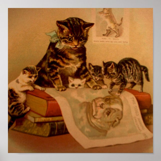 Poster Escola de Gatinho Antiquados e Livros (Frente)