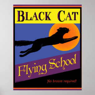 Pôster Escola de Voo de Gato Preto Cartaz Vintage de Hall