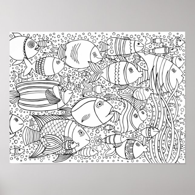 Pôster Escola Inspirada De Peixe 2 (Frente)