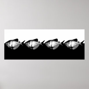 Poster Escola Tetra de Camisa Negra