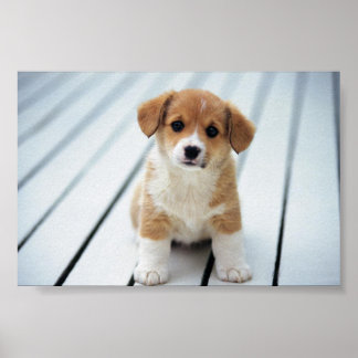 POSTER ESCOLHA ALGUÉM DO SEU TAMANHO