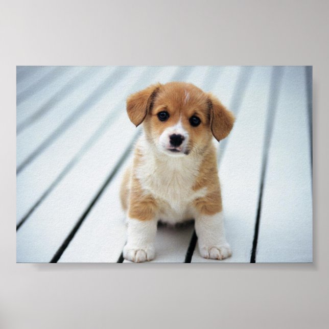 POSTER ESCOLHA ALGUÉM DO SEU TAMANHO (Frente)