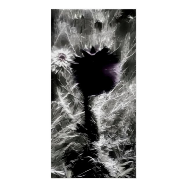 Pôster Escolha-me (Frente)