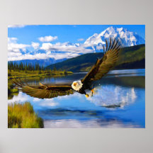 Escória Bald Pesca Denali 24" x 18" — Papel de arq